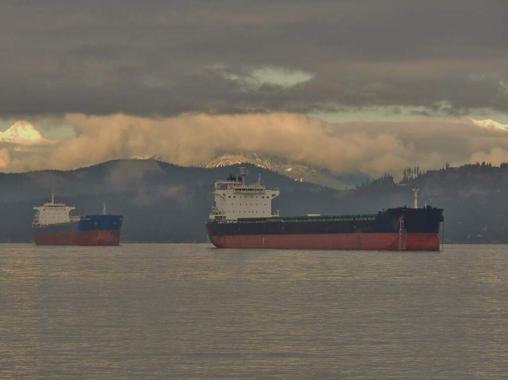 How FORMARs Agency Service Protects Your Bottom Line